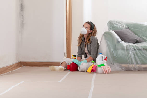 Reliable Black Mold Removal contractor in Andover, MN by WQB Mold Removal
